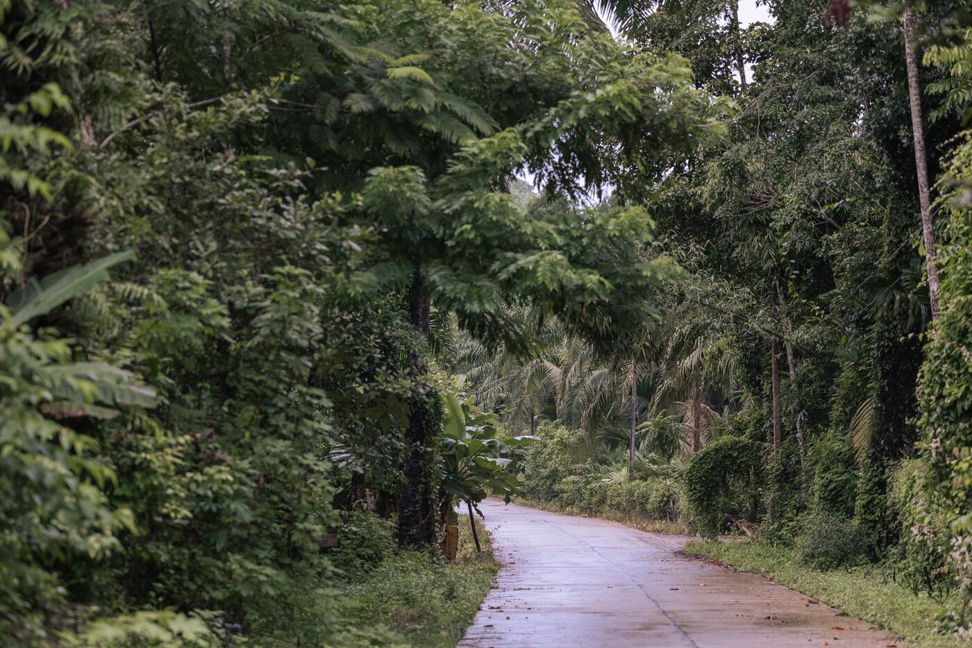 partners across the rubber value chain