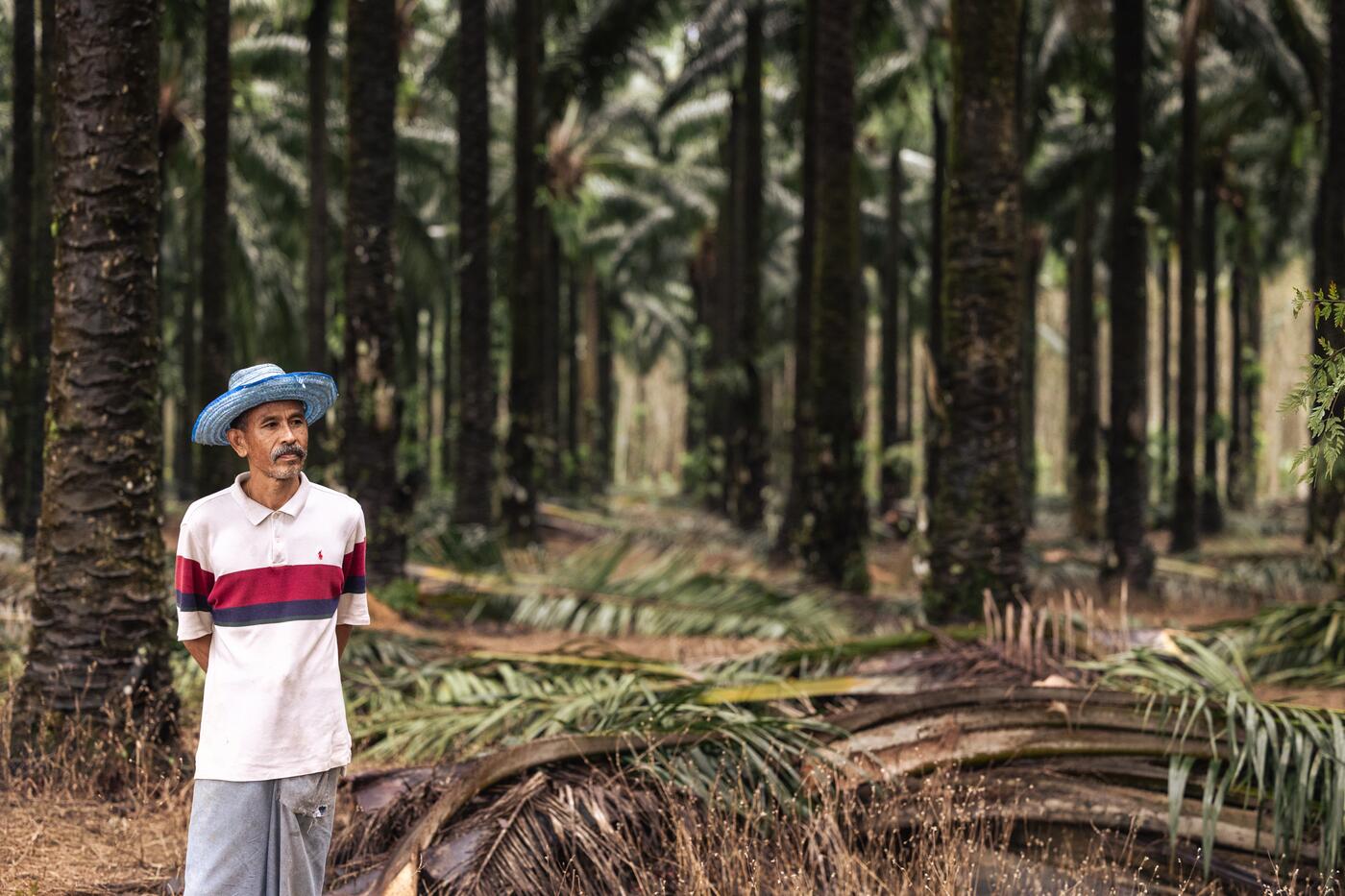 Moreganic Farmer
