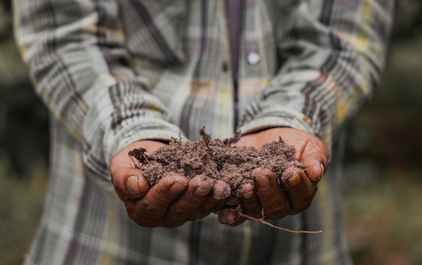 Soil