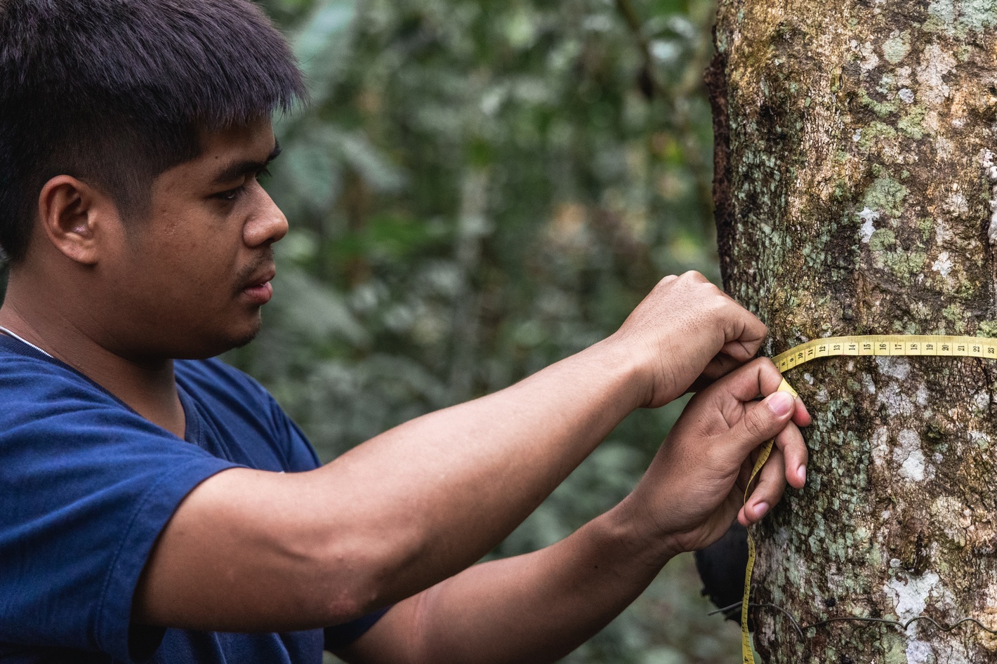 Moreganic agroforest