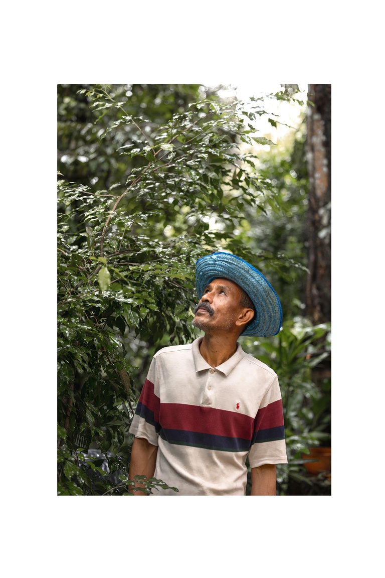 Moreganic agroforest