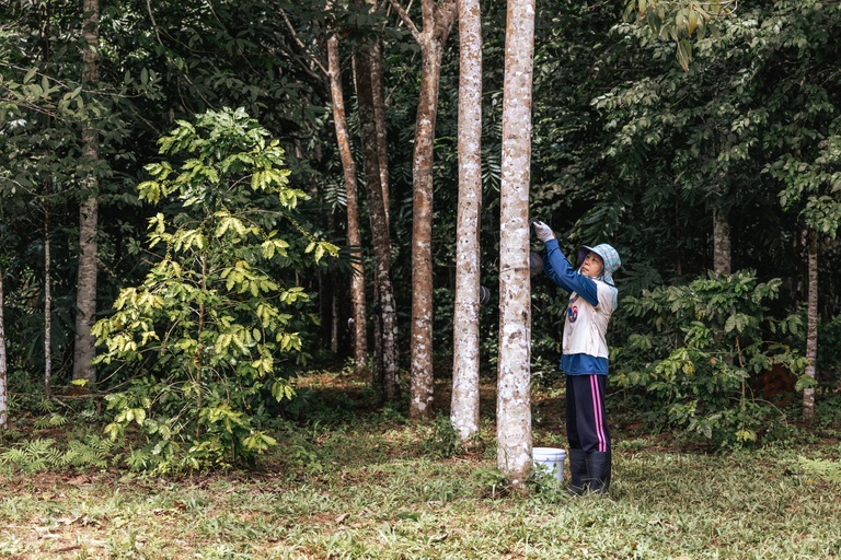 Moreganic agroforest